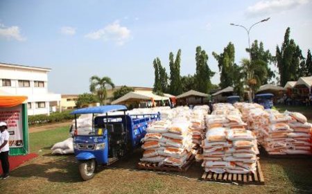 Renforcement de la sécurité alimentaire : le gouvernement distribue des engrais et des semences de qualité aux agriculteurs d’Abengourou