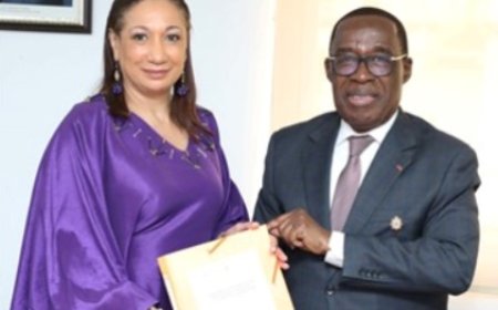 Promotion de la francophonie : Vers un partenariat entre le Cesec et le ministère de la culture