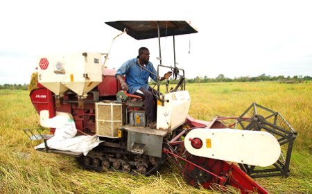 Agriculture : les avantages du Projet de Pôle agro-industriel ou agropole présentés