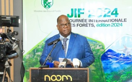 Journée internationale de la Forêt : le ministre Laurent Tchagba encourage l’exploration de l'innovation pour promouvoir la gestion durable des forêts
