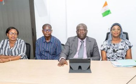 Violences basées sur le genre : 8 782 cas rapportés et pris en charge en 2023