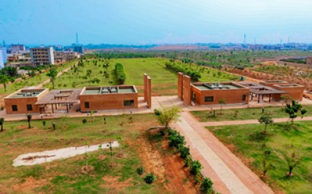 Construction du parc d’Akouédo : un projet à fort intérêt écologique, environnemental et socio-économique