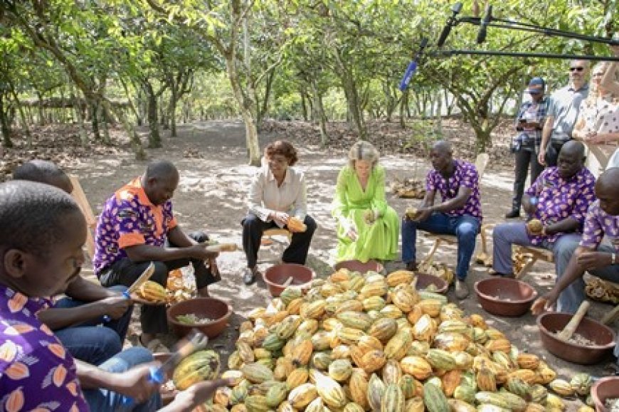 Promotion des ODD dans le secteur du Cacao : la Reine Mathilde de Belgique visite une plantation de cacao