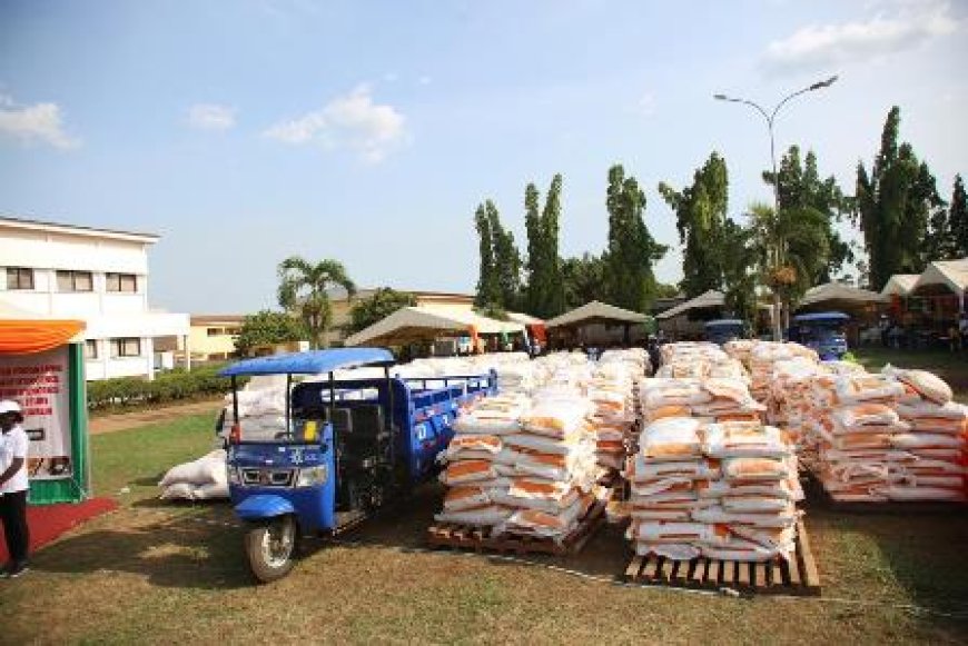 Renforcement de la sécurité alimentaire : le gouvernement distribue des engrais et des semences de qualité aux agriculteurs d’Abengourou