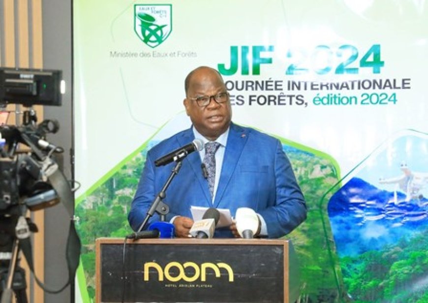 Journée internationale de la Forêt : le ministre Laurent Tchagba encourage l’exploration de l'innovation pour promouvoir la gestion durable des forêts