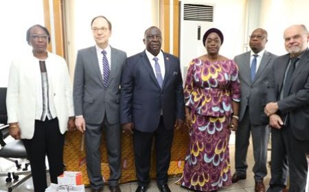 Développement de l’agriculture : le ministre d'État Kobenan Kouassi Adjoumani échange avec une délégation du FMI