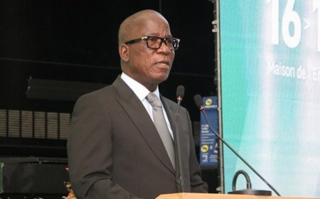 Financement de la transition écologique : le ministre Jacques Assahoré Konan sollicite l’implication du secteur privé