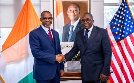 Protection Sociale : Le Ministre Adama KAMARA présente : "La Complémentaire", "le RSTI" et "la CMU" aux Ivoiriens vivant aux États-Unis