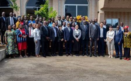 METFPA : 65 Experts du METFPA et de la structure Chinoise UNIPUS- CCECC travaillent à la sélection de 300 Normes Professionnelles.