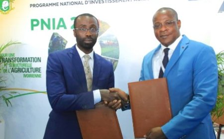 Coopération agricole : la Chambre nationale d'Agriculture et le Conseil agricole ivoirien au Maroc signent une convention de partenariat