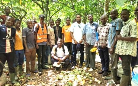 Amélioration de la sécurité et de la santé des travailleurs : l’inspection du travail débute la mise en œuvre de sa planification stratégique