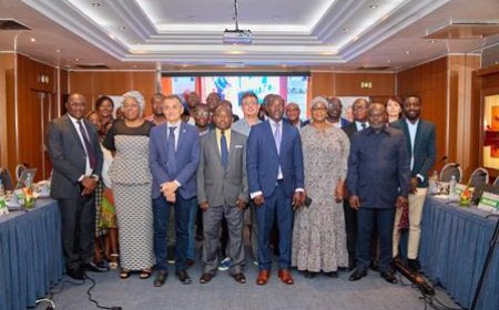 Souveraineté alimentaire : les parties prenantes des Programmes d’Appui pour un secteur vivrier résilient et durable harmonisent leurs stratégies