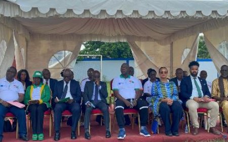 31me édition de la Journée Mondiale de la Liberté de la Presse : Les journalistes s'engagent dans la protection de l'environnement