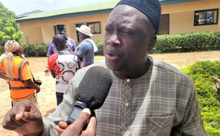 Culture et échange : Les suggestions de Georges Denis Diatta au Djéguélé Festival