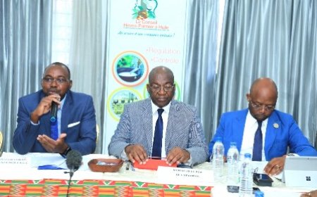 Agriculture : Un atelier de mise en place du zonage dans la filière Hévéa s’ouvre à Grand-Bassam