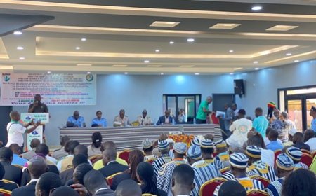 Man : La Lutte Contre la Drogue S'intensifie à Man