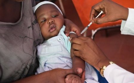 Promotion de la vaccination : Le gouvernement veut réduire les taux de mortalité liés aux maladies évitables