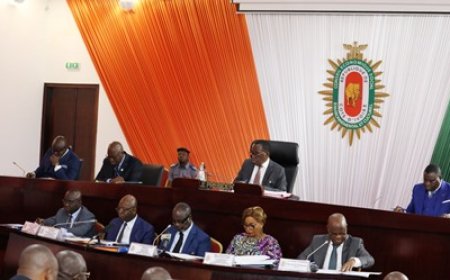 Développement de l’économie numérique : Le Cesec adopte un projet d’avis