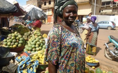Campagnes des mangues : Rien ne se  perd…