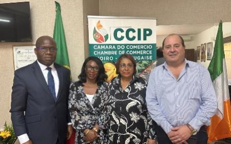 Relation d'affaires Des industriels reçus par la présidente de la chambre de commerce Ivoiro-portugaise