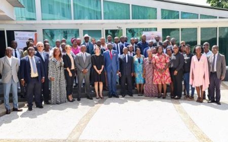 Dynamisation des exportations : Le CNE met à la disposition des acteurs du secteur trois outils numériques