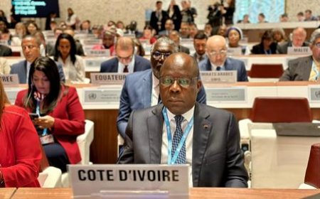 77è Assemblée mondiale de la santé : La déclaration ivoirienne aux 194 Etats membres ce 28 mai