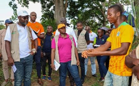 Souveraineté alimentaire : le PA-Psgouv et l’ANADER renforcent les capacités des producteurs de maraîchers de Béhoukro (Djébonoua)