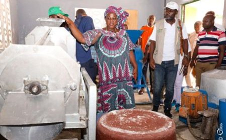 Bénéficiaire de l’accompagnement du PA Psgouv : l’Unité de Transformation de manioc de Broukro ambitionne de passer de 420 tonnes/an à 820 tonnes