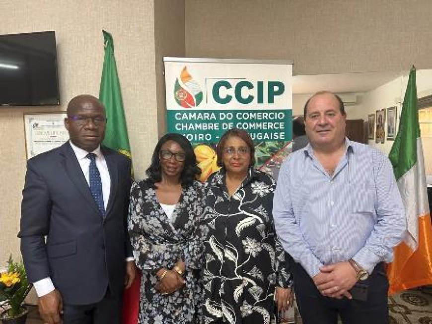 Relation d'affaires Des industriels reçus par la présidente de la chambre de commerce Ivoiro-portugaise