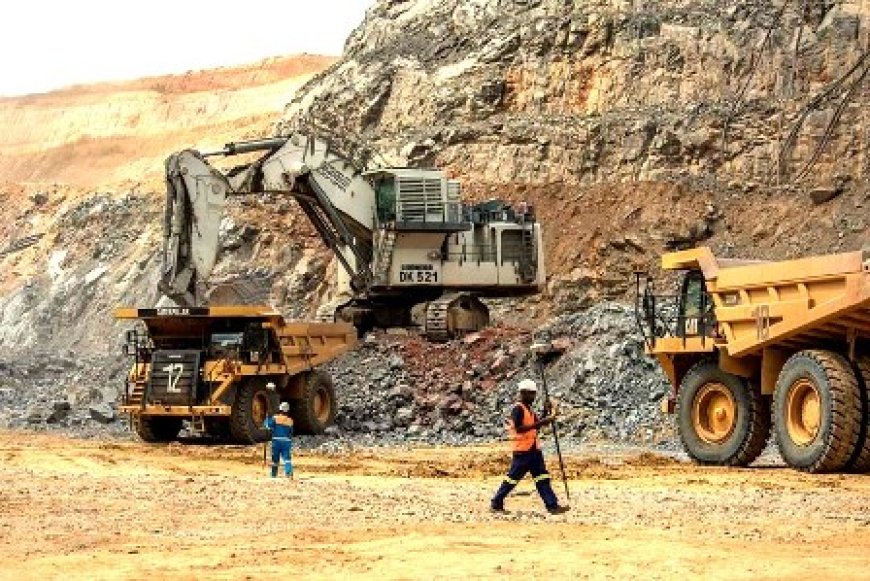 Mines : Découverte dans le département d’Issia d’un gisement de Coltan par la SODEMI