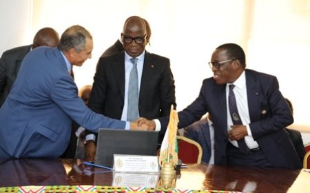 Lutte contre le changement climatique : L’union des Conseils économiques et sociaux d’Afrique s’implique