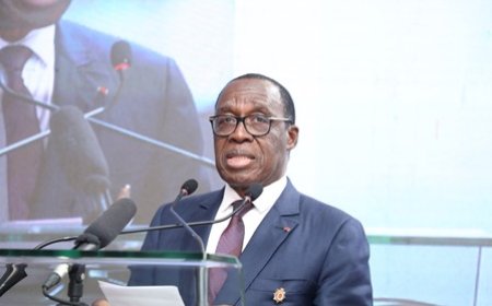 Lutte contre le changement climatique en Afrique : Le Dr Eugène Aka Aouélé s'engage à accentuer sa contribution