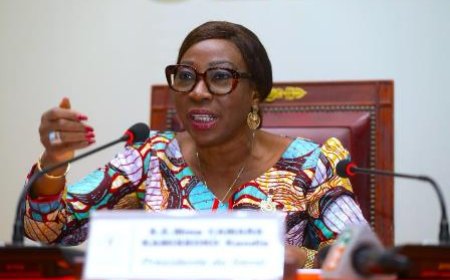 Yamoussoukro / Sénat : Les projets de loi de la seconde partie des travaux parlementaires adoptés en plénière