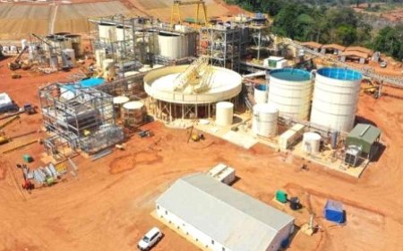 Extraction de l’or : Des découvertes de classe mondiale attendues dans les mois et années à venir (Mamadou Sangafowa-Coulibaly)