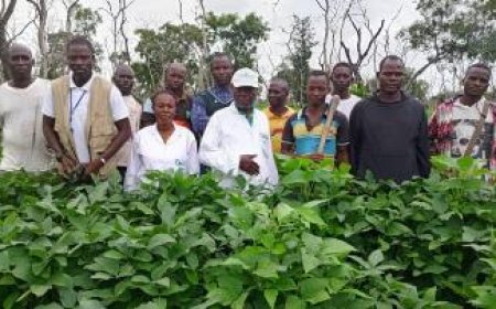 Lancement de la campagne agricole du soja 2024-2025