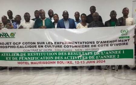 Gbêkè : Un atelier bilan de l’utilisation directe de la roche phosphatée sur le coton ouvert à Bouaké