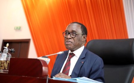 Habitat durable en Côte d'Ivoire : Le CESEC adopte un projet d'avis sur les normes de construction