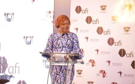 Financement des PME : La ministre Nialé Kaba sollicite l'appui des régulateurs du système financier