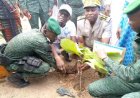Touba / Journée nationale de l'arbre : Le commandant Koffi Jules encourage les populations à planter des arbres