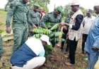 Korhogo /  Lutte contre la déforestation : Dagba abrite le lancement d’une importante opération de planting d’arbres
