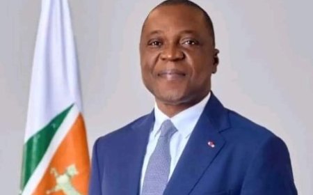 Présidence de l'UVICOCI : Amadou Koné succède à Paulin Claude Danho