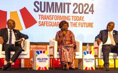 Performances économiques liées aux ODD : La ministre Nialé Kaba partage l'expérience ivoirienne au Ghana