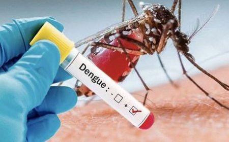 Dengue / Flambée des cas à Abidjan et à Tortya  : L’INHP invite les populations au respect des mesures barrières