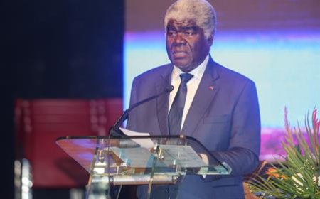 Atteinte de l’autosuffisance alimentaire en riz : la Côte d’Ivoire mobilise des ressources financières auprès de ses partenaires techniques et financiers