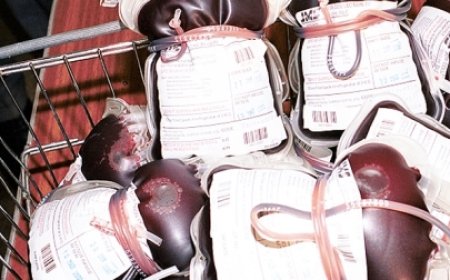 Don de sang : 300 000 poches de sang attendues pour l’année 2024