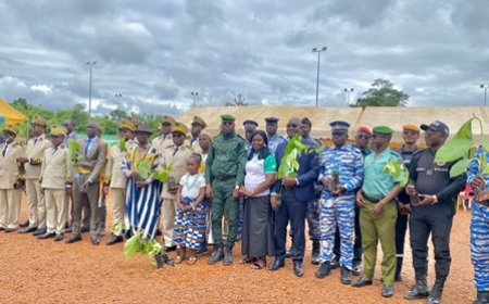 Man / Journée nationale de l'arbre 2024 : Les populations appelées à une synergie d'action dans la reconstitution du couvert forestier