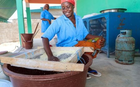 Autosuffisance alimentaire: des projets concrets pour booster la production locale