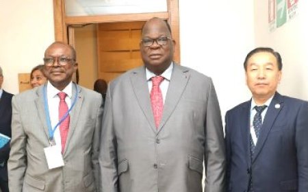 Projets de reboisement et de préservation de la faune : le ministre Laurent Tchagba sollicite la FAO à Rome pour la mobilisation de financements