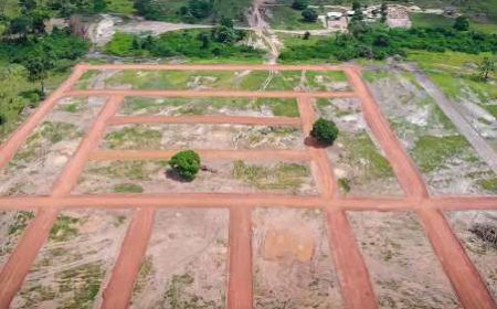 Sécurisation foncière rurale : 660 184 hectares ont été certifiés et sécurisés
