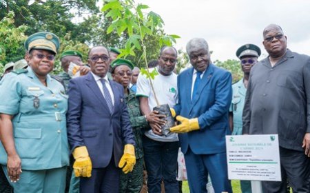 Journée nationale de l'arbre édition 2024 : le Premier Ministre appelle à une action collective pour restaurer 20% du couvert forestier d'ici à 2030
